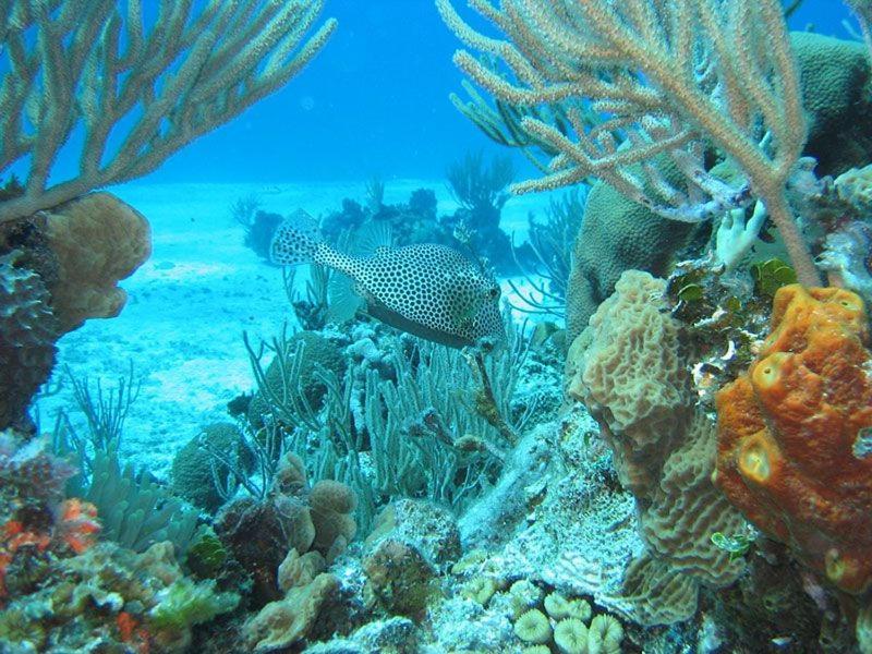 El Pisito La Dolce Vita Puerto del Carmen  Exteriör bild
